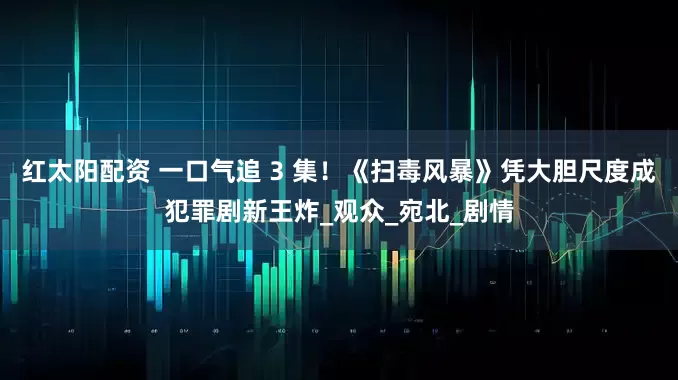 红太阳配资 一口气追 3 集！《扫毒风暴》凭大胆尺度成犯罪剧新王炸_观众_宛北_剧情